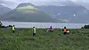 Viltspor, viltettersøk, vilt, spor, ettersøk