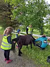 Barn i refleksvester står rundt en hest ved et gjerde under trær.