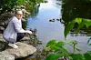 En kvinne sitter på en stor stein ved en innsjø mens andunger svømmer i vannet.