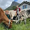 To personer står ved flere kyr som beiter på en eng foran en liten seter og bratte fjell.