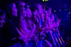 Publikum står ved en sperring og ser på en konsert under blått og lilla lys.