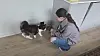 En jente sitter på gulvet ved siden av en svart-hvit katt innendørs.