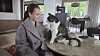 Ung jente sitter ved et bord med en svart-hvit katt innendørs i en lys stue.