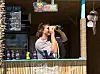 Person holder kikkert og ser utover fra en strandkafé med skilt og flasker.