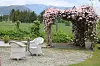 To hvite kurvstoler og et lite bord står på en steinlagt uteplass ved en pergola dekket av rosa blomster.