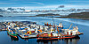 Industrihavn med flere lasteskip, containere og kraner ved vannet, omgitt av fjell og hav.