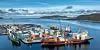 Industrihavn med flere lasteskip, containere og kraner ved vannet, omgitt av fjell og hav.