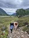 To personer går bak en ku på en smal sti i en grønn dal med fjell på begge sider.