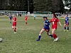 Flere unge fotballspillere i røde og blå drakter spiller kamp på en gressbane med mål i bakgrunnen.