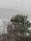Regndråper på et vindu med et uskarpt tre bak glasset.