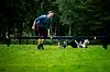 To personer trener på en grønn gresslette ved skogkanten.