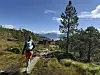 Turgåer på en klopplagt sti i skogkledd fjellterreng med sol og fjell i bakgrunnen.