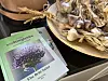 Boken «Å dyrke småtinglykke» ligger ved siden av en kurv med hvitløk og tørkede planter.