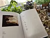 En åpen bok ligger foran grønne planter, urter og glasskrukker.