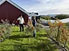 To personer står mellom bærbusker ved en rød gårdsbygning og veksthus.