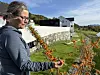 Person holder en grein med oransje tindvedbær i en hage ved en gård.