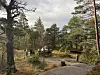 Turgåere på en grussti gjennom en skog med furutrær og høstlig vegetasjon.
