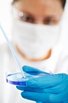 Laboratoriearbeider med munnbind og hansker holder en petriskål og bruker en pipette.